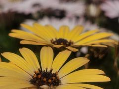 -紫竹院公园-东门停车场