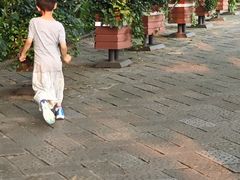 -中国茶叶博物馆(双峰馆区)
