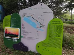 -福田红树林生态公园