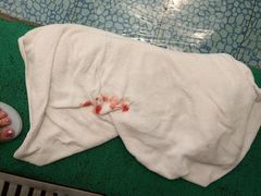 -龙达温泉生态城