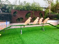 -汪说喵讲宠物乐园宠物酒店(红星美凯龙店)