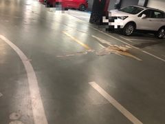 -梅赛德斯奔驰文化中心·停车场