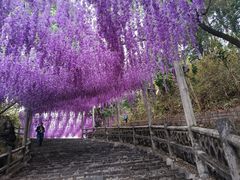-玉石林风景区