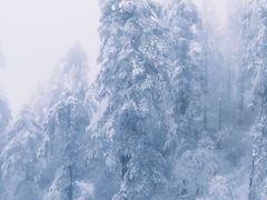 -瓦屋山景区