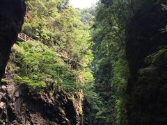 -神农大峡谷景区