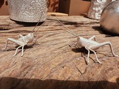 -苏州本色美术馆