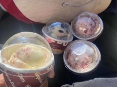 -哈根达斯(烟台振华店)