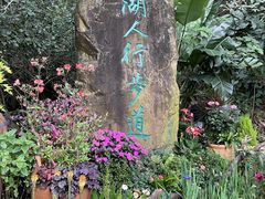 -深圳仙湖植物园