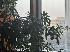 -green essence 青籁优体(三里屯店)