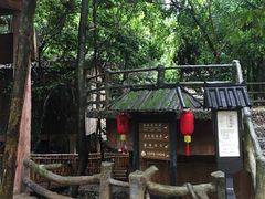 -天门沟九州驿站树上汤泉
