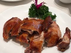 -凯鸽酒楼(水泉湾龙园店)