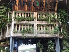 -Rainforest