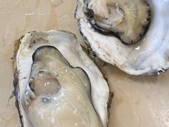 -北方饺子王·海肠捞饭·海鲜锅(山大店)