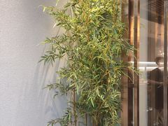 -五样儿西昌小签签烤串(建设路店)