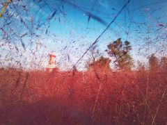 -羊亭河湿地公园