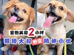 -熊小胖宠物生活馆(天华园店)