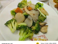 -凤城礼记鱼翅海鲜酒家(新马路总店)