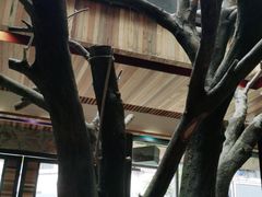 -渔太泰漓江小馆·广西融合菜(西街店)