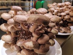 -丙申臺火锅
