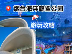 -烟台海昌鲸鲨海洋公园