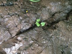 百里山水画廊风景区-乌龙峡谷景区