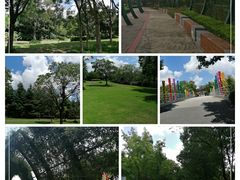 -自然谷恐龙园