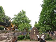 -九华山风景区