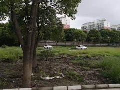 -安飞驰驾校·学车连锁(金高店)