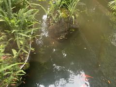 -大妙火锅·非物质文化遗产(东湖公园店)