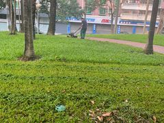 -深圳龙潭公园