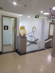 -睿宝儿科·眼科·口腔(杨浦新江湾城店)