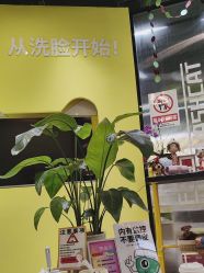 -洗脸猫·洗脸吧(北京大兴大悦春风里店)