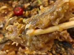 -老板恋上鱼(荣盛广场店)