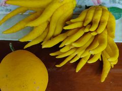 -九锅一堂酸菜鱼(新南凯德直营店)