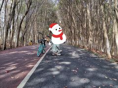 -艾溪湖湿地公园