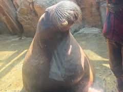 -波塞冬海底世界