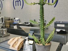 -CUBIC3三立方咖啡(凌空SOHO店)