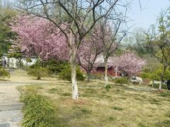 -采石矶景区