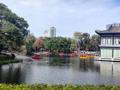 -荔湾湖公园