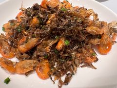 -新吉士·上海菜(浦东LCM置汇旭辉店)