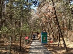 -帽儿山国家森林公园