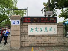 -嘉定紫藤园
