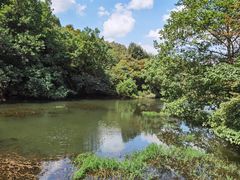 -白马涧龙池景区