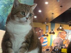 -咖法森林·咖啡  酒吧(天河店)