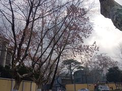 -颐和路民国时期公馆风貌区