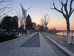 -金沙湖公园