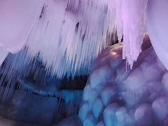 -芦芽山旅游度假区