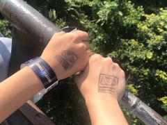 -圣淘沙天际线斜坡滑车