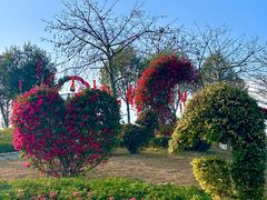 -东莞植物园