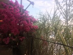 -胡桃里乐队酒馆(鎏嘉码头店)